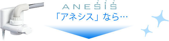 「アネシス」なら・・・