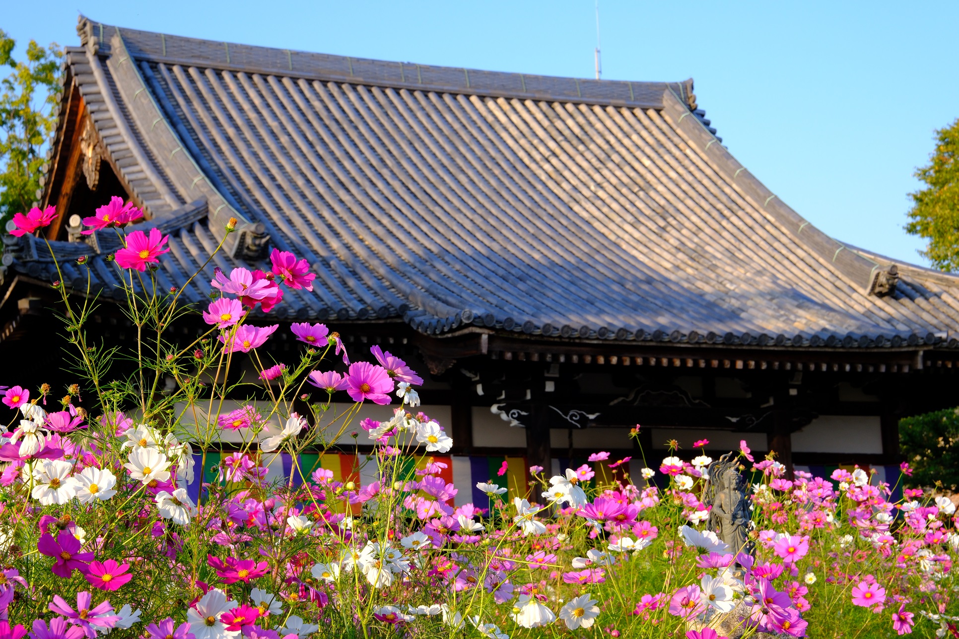 般若寺