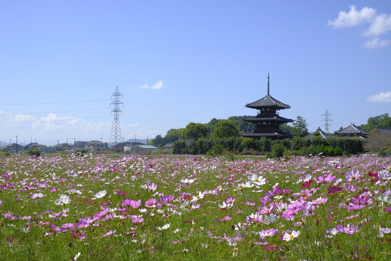 法起寺