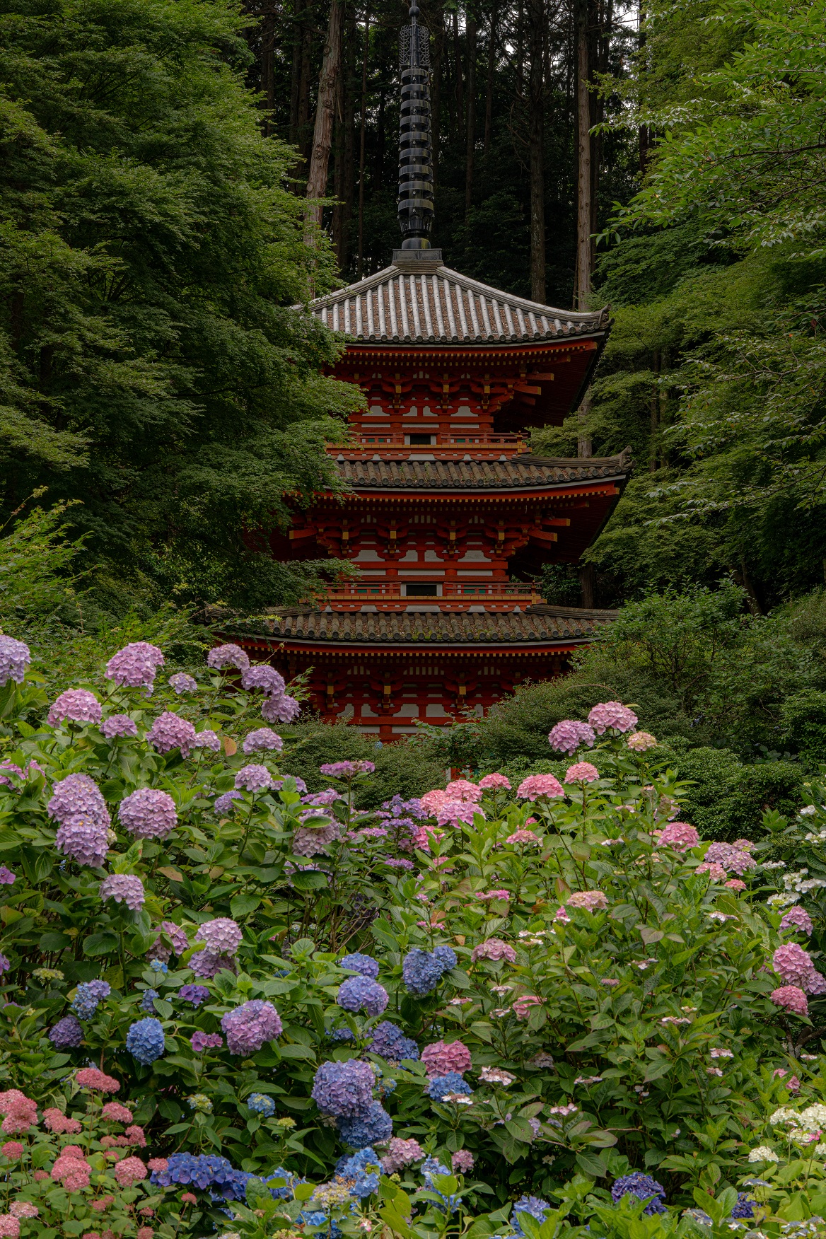 「花の寺」岩船寺