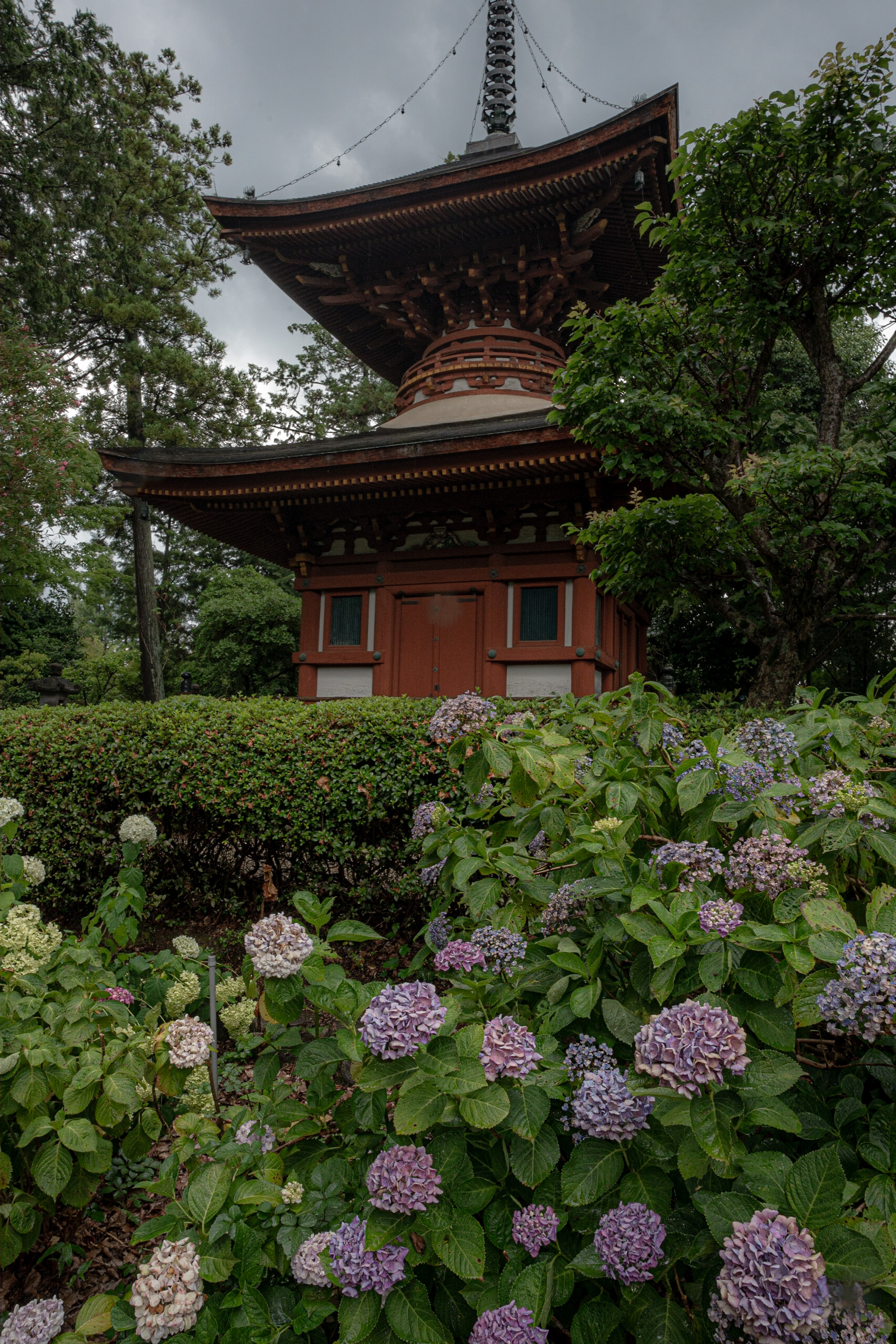 久米寺あじさい園