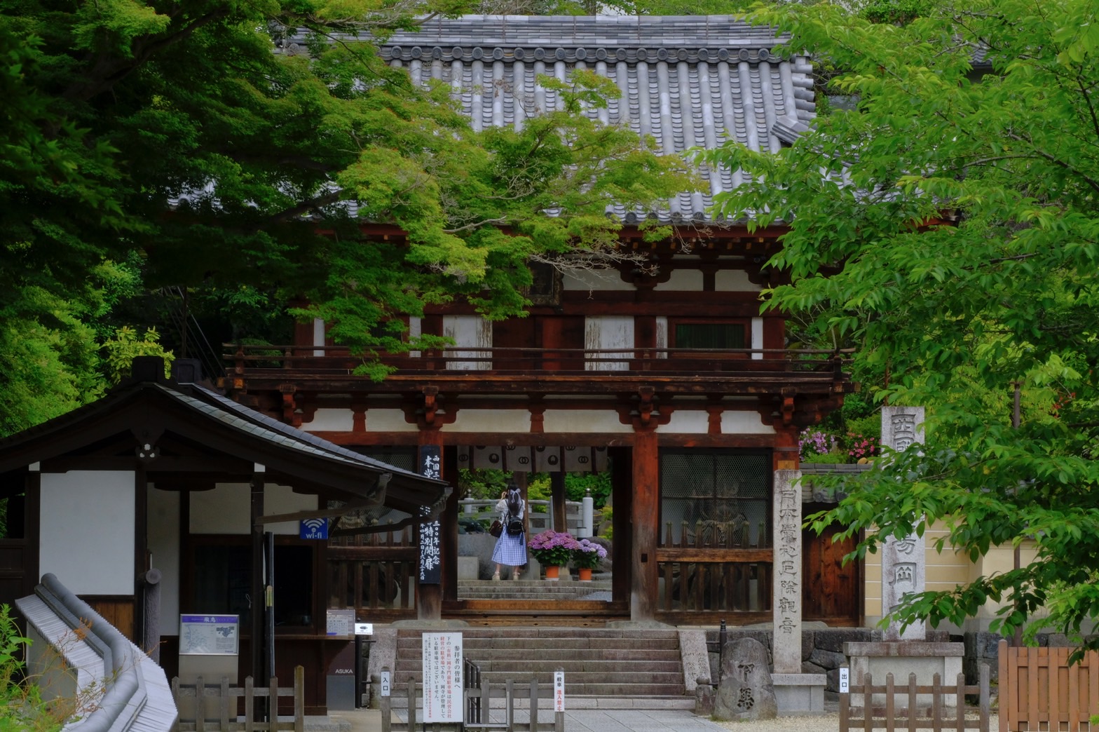 岡寺_山門 岡寺_山門