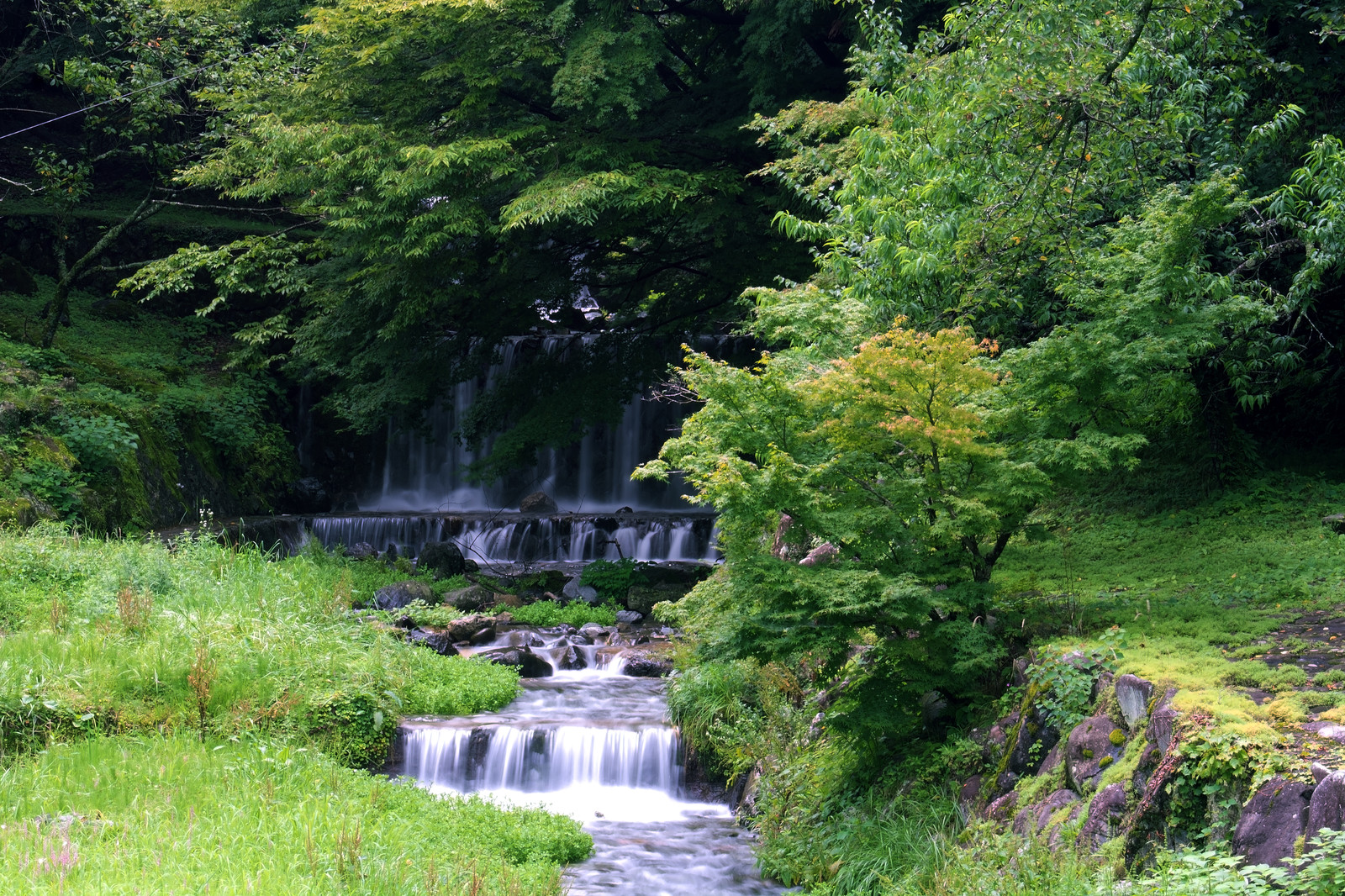 川の水