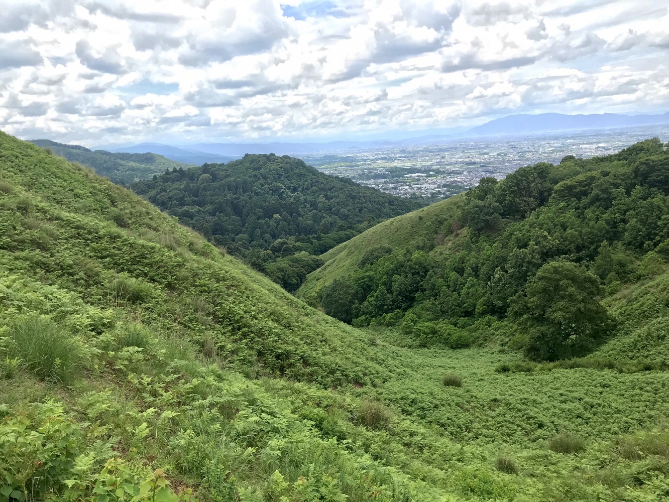 奈良_山_自然_賃貸_丸和不動産