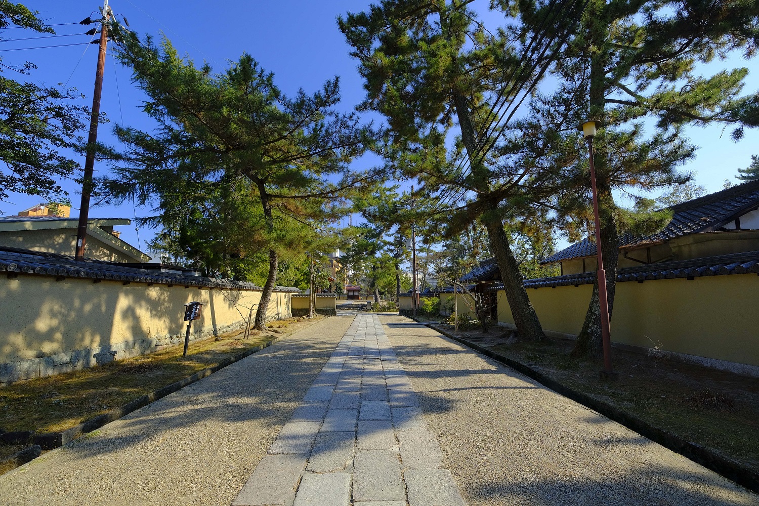 西大寺（奈良県奈良市）お散歩 | 奈良女子大学生の学生